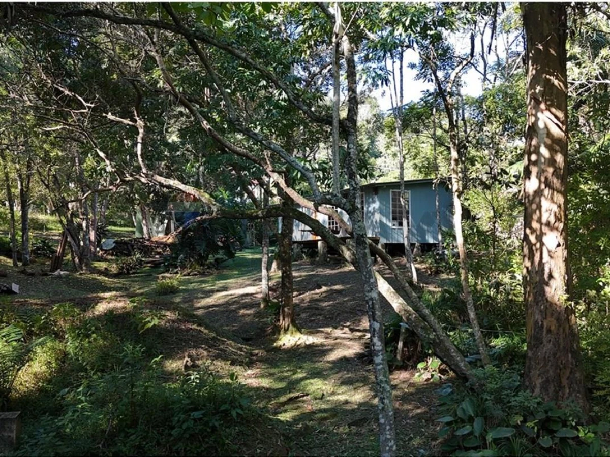 Terreno 38.000 m² à venda — Itacorubi, Florianópolis (SC)